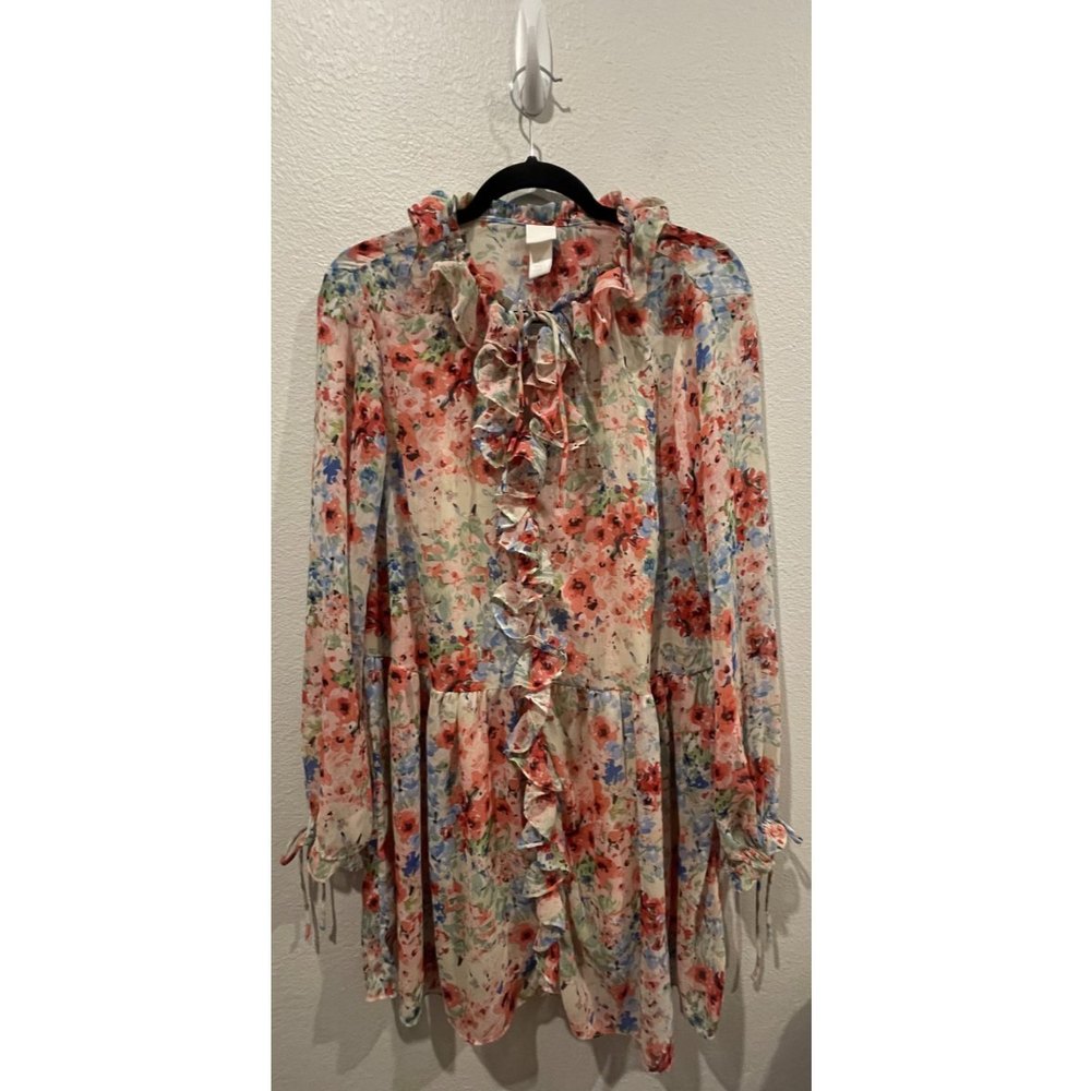 H&M Floral Long Sleeved Sheer Mini Dress